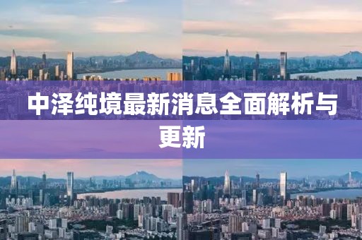 中澤純境最新消息全面解析與更新
