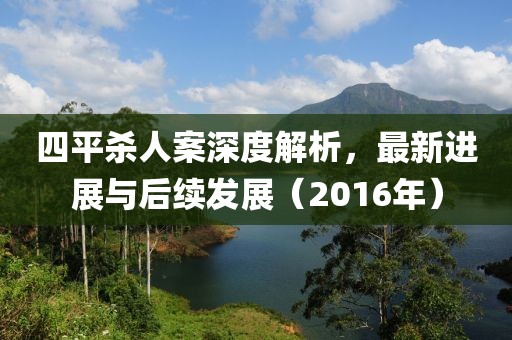 四平殺人案深度解析，最新進展與后續(xù)發(fā)展（2016年）