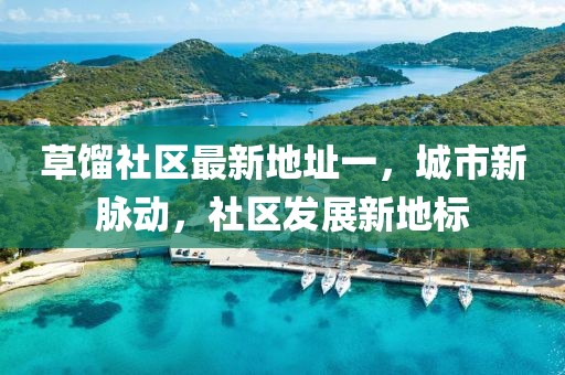 草餾社區(qū)最新地址一，城市新脈動，社區(qū)發(fā)展新地標