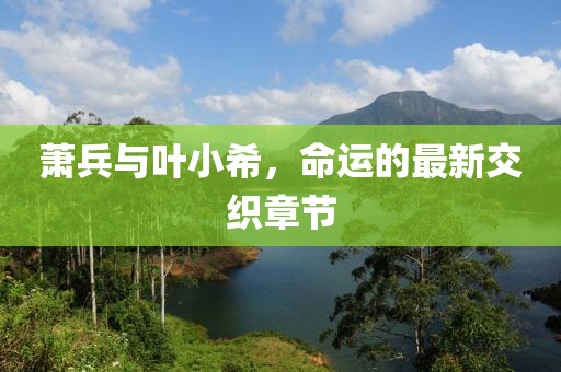 蕭兵與葉小希，命運(yùn)的最新交織章節(jié)