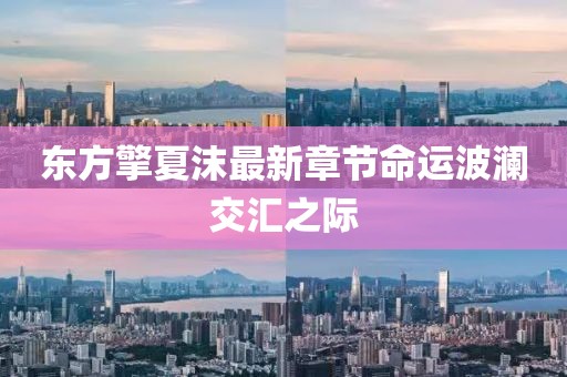 東方擎夏沫最新章節(jié)命運(yùn)波瀾交匯之際