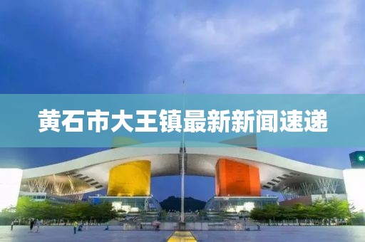 黃石市大王鎮(zhèn)最新新聞速遞
