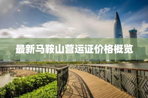 最新馬鞍山營運(yùn)證價(jià)格概覽