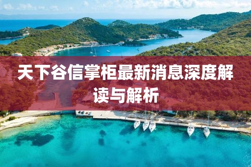 天下谷信掌柜最新消息深度解讀與解析