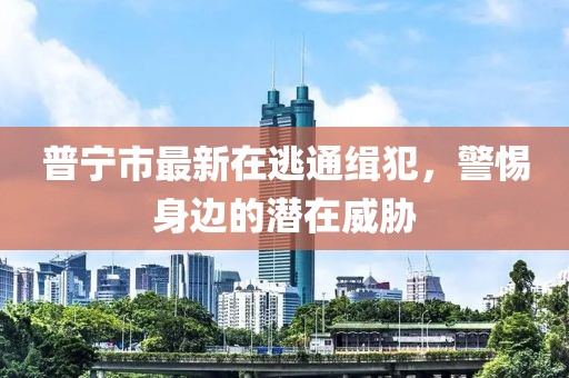 普寧市最新在逃通緝犯，警惕身邊的潛在威脅