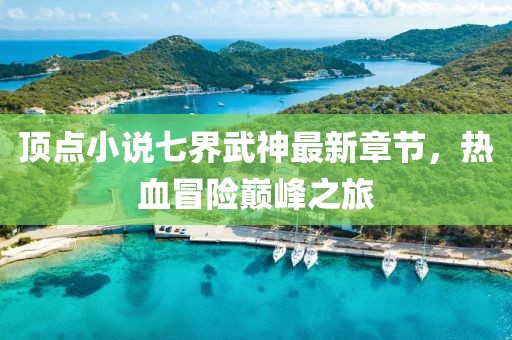 頂點小說七界武神最新章節(jié)，熱血冒險巔峰之旅