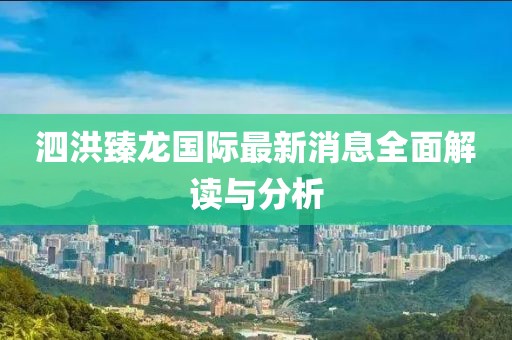 泗洪臻龍國際最新消息全面解讀與分析