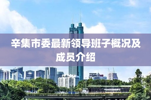 辛集市委最新領(lǐng)導(dǎo)班子概況及成員介紹
