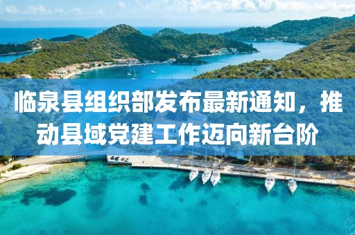 臨泉縣組織部發(fā)布最新通知，推動(dòng)縣域黨建工作邁向新臺(tái)階