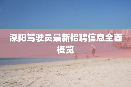溧陽(yáng)駕駛員最新招聘信息全面概覽