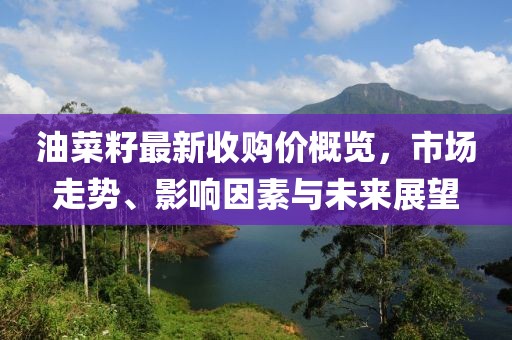 油菜籽最新收購價概覽，市場走勢、影響因素與未來展望