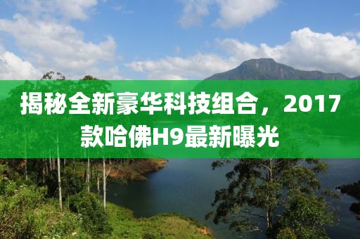 揭秘全新豪華科技組合，2017款哈佛H9最新曝光