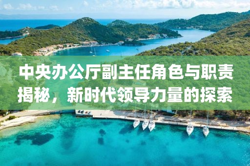 中央辦公廳副主任角色與職責揭秘，新時代領(lǐng)導(dǎo)力量的探索