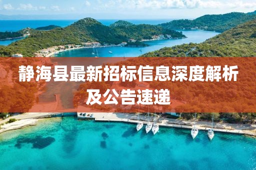 靜海縣最新招標信息深度解析及公告速遞