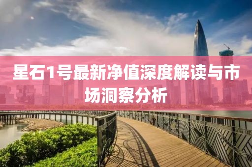 星石1號最新凈值深度解讀與市場洞察分析
