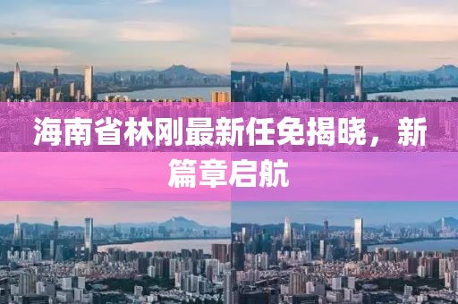 海南省林剛最新任免揭曉，新篇章啟航