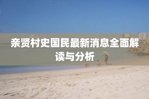 親賢村史國民最新消息全面解讀與分析