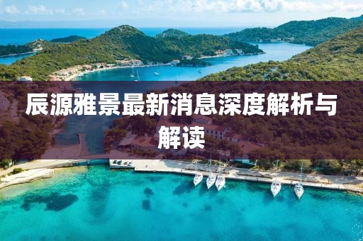 辰源雅景最新消息深度解析與解讀