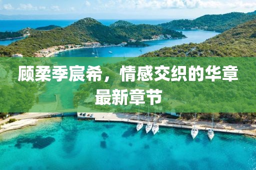 顧柔季宸希，情感交織的華章最新章節(jié)