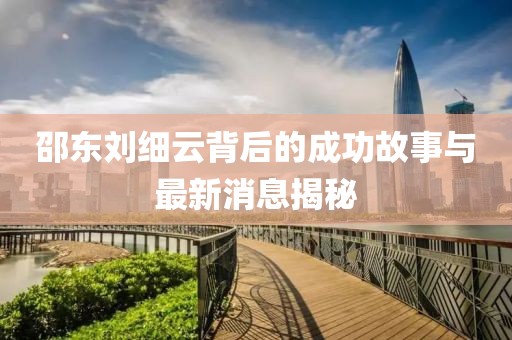邵東劉細(xì)云背后的成功故事與最新消息揭秘