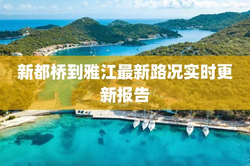2025年2月 第384頁