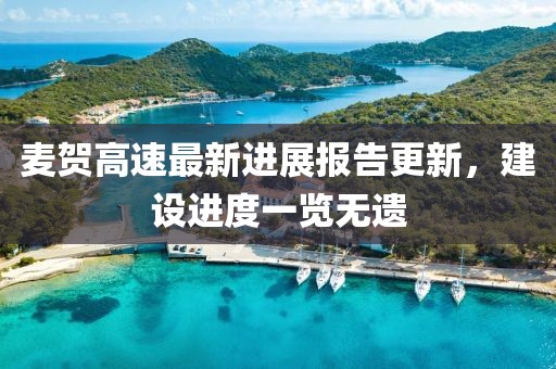 麥賀高速最新進展報告更新，建設進度一覽無遺