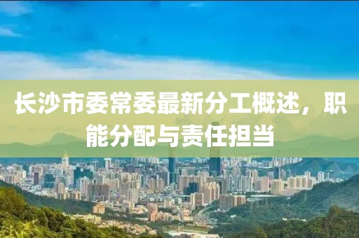 長沙市委常委最新分工概述，職能分配與責任擔當