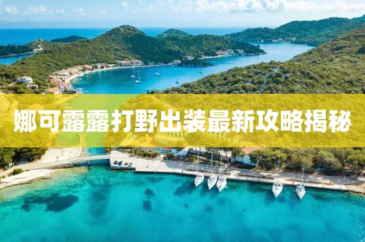 娜可露露打野出裝最新攻略揭秘