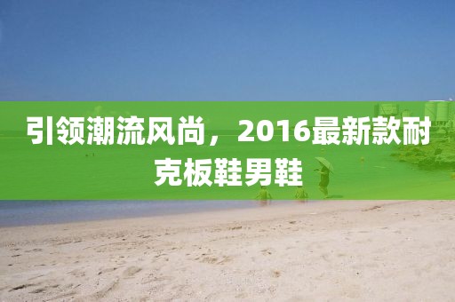 引領(lǐng)潮流風(fēng)尚，2016最新款耐克板鞋男鞋