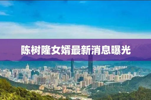陳樹隆女婿最新消息曝光