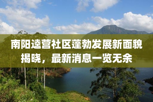 南陽逵營(yíng)社區(qū)蓬勃發(fā)展新面貌揭曉，最新消息一覽無余