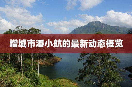增城市潘小航的最新動態(tài)概覽