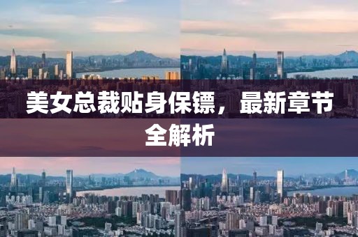 美女總裁貼身保鏢，最新章節(jié)全解析