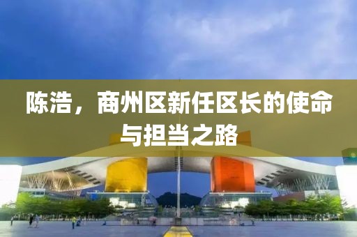 陳浩，商州區(qū)新任區(qū)長的使命與擔當之路
