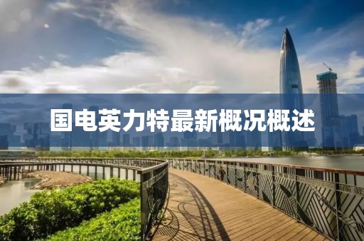 國(guó)電英力特最新概況概述