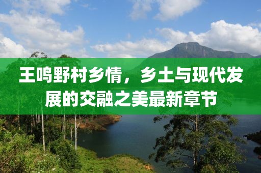 王鳴野村鄉(xiāng)情，鄉(xiāng)土與現(xiàn)代發(fā)展的交融之美最新章節(jié)