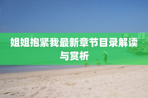 姐姐抱緊我最新章節(jié)目錄解讀與賞析