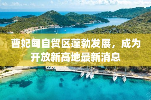 曹妃甸自貿(mào)區(qū)蓬勃發(fā)展，成為開放新高地最新消息