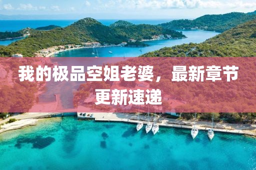 我的極品空姐老婆，最新章節(jié)更新速遞
