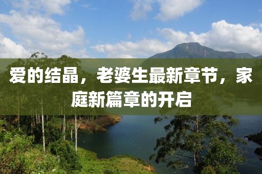 愛(ài)的結(jié)晶，老婆生最新章節(jié)，家庭新篇章的開(kāi)啟