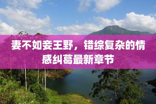 妻不如妾王野，錯(cuò)綜復(fù)雜的情感糾葛最新章節(jié)