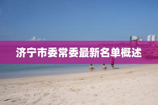濟寧市委常委最新名單概述