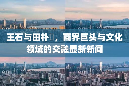 王石與田樸琤，商界巨頭與文化領(lǐng)域的交融最新新聞