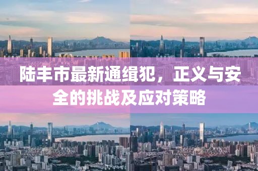 陸豐市最新通緝犯，正義與安全的挑戰(zhàn)及應(yīng)對(duì)策略