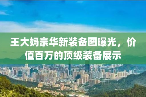 王大媽豪華新裝備圖曝光，價(jià)值百萬的頂級裝備展示