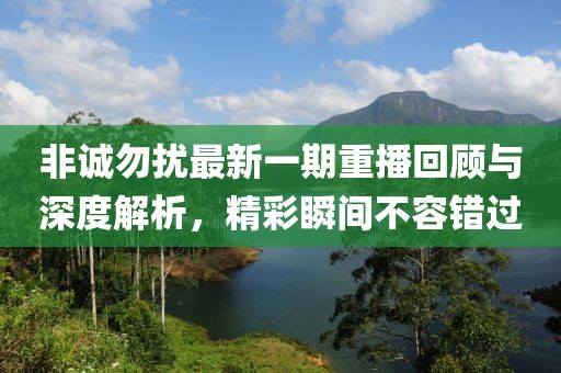 非誠勿擾最新一期重播回顧與深度解析，精彩瞬間不容錯過