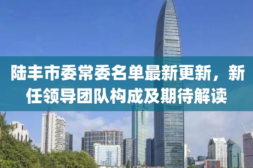 陸豐市委常委名單最新更新，新任領(lǐng)導(dǎo)團(tuán)隊(duì)構(gòu)成及期待解讀