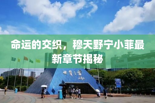 命運(yùn)的交織，穆天野寧小菲最新章節(jié)揭秘
