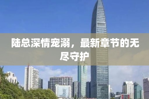 陸總深情寵溺，最新章節(jié)的無盡守護
