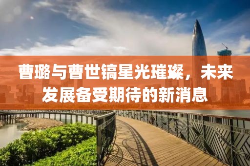 曹璐與曹世鎬星光璀璨，未來發(fā)展備受期待的新消息